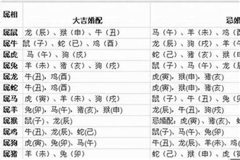 生肖羊1967年婚姻|1967年属相羊婚姻运势